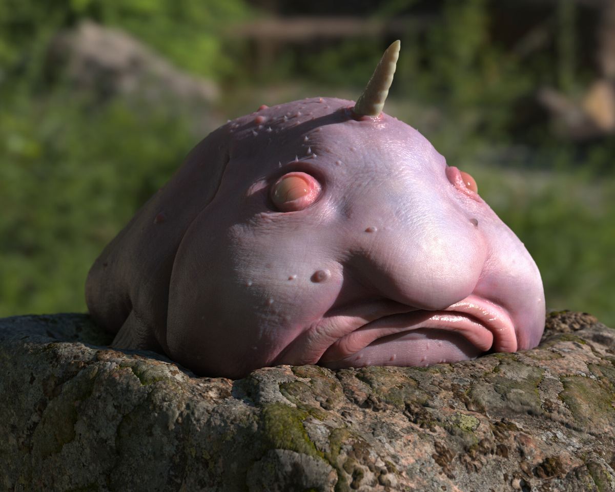 unicorn blobfish